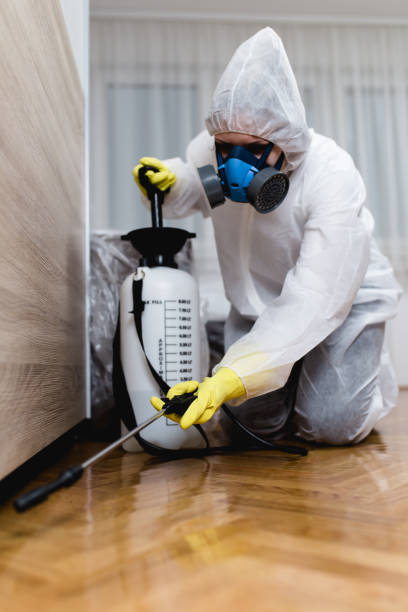 Best Fumigation Services  in South Charleston, WV